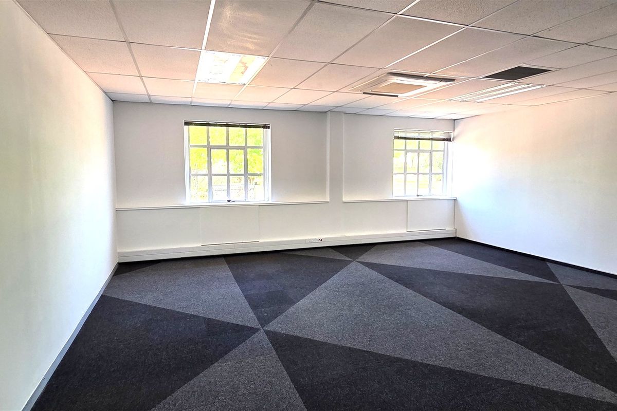 A bright, empty office space featuring a suspended ceiling, recessed lighting, and modern geometric patterned carpet tiles with natural light from two windows.