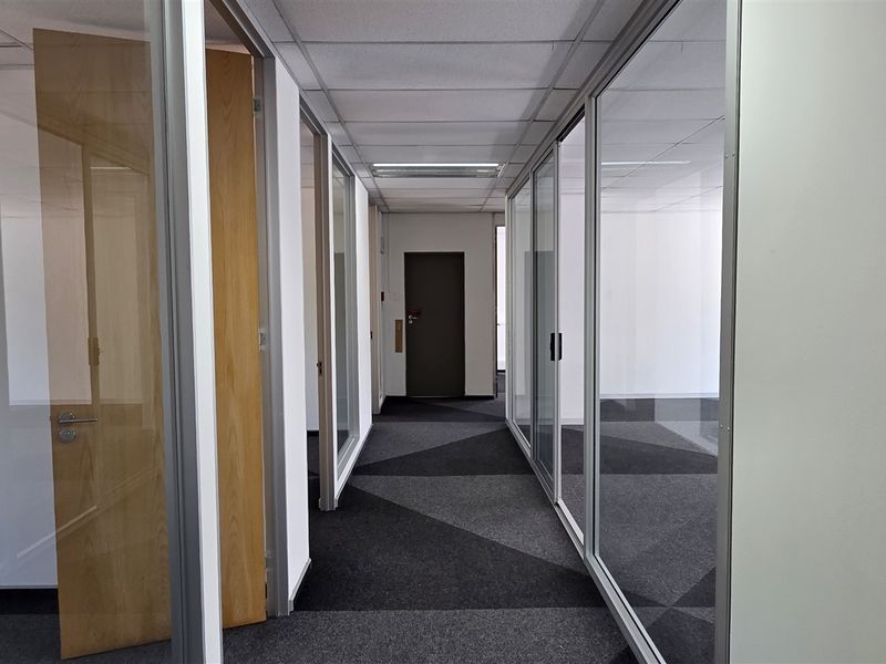 A bright office hallway featuring glass partition walls, carpeted flooring, and a suspended ceiling with integrated lighting.