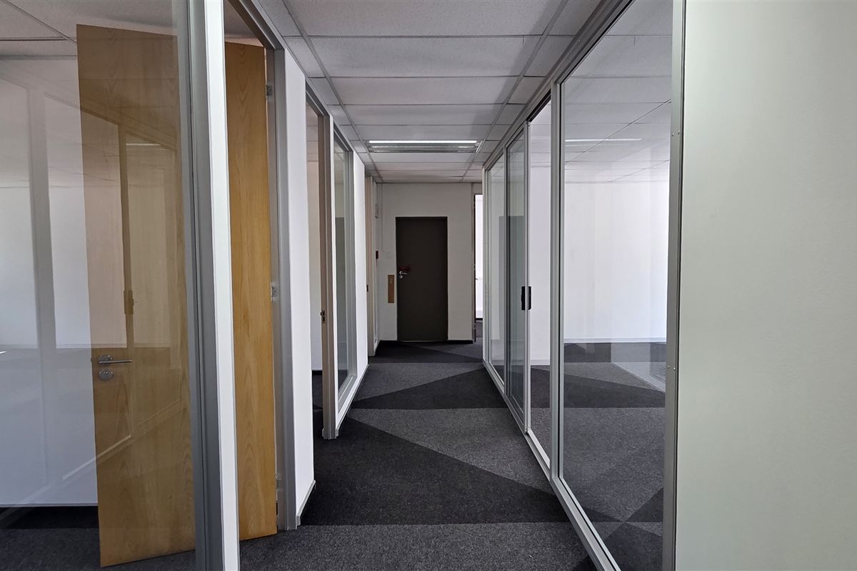 A bright office hallway featuring glass partition walls, carpeted flooring, and a suspended ceiling with integrated lighting.