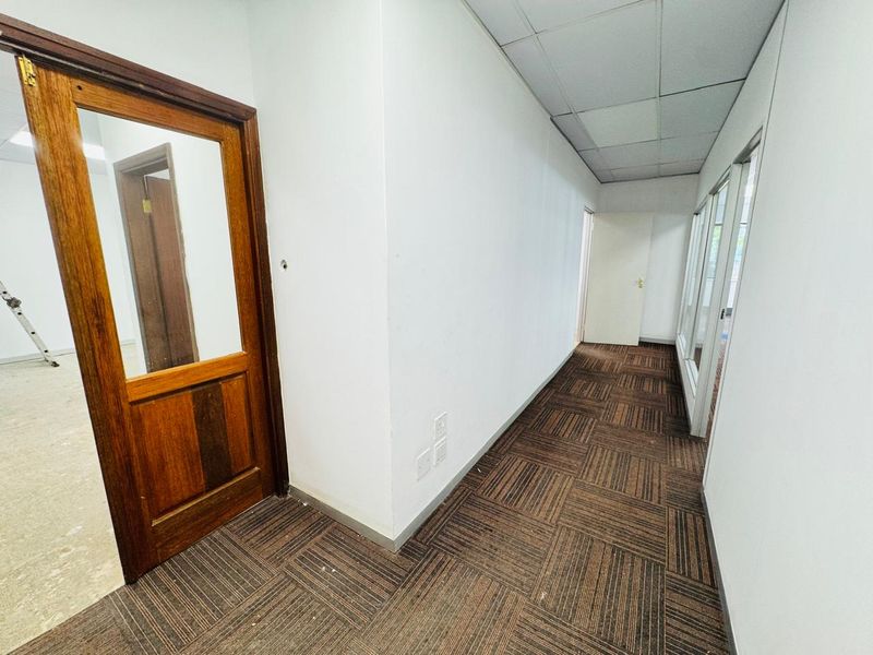 A vacant office hallway featuring carpet tile flooring, a suspended ceiling, and timber-framed glass doors leading to adjacent office spaces.