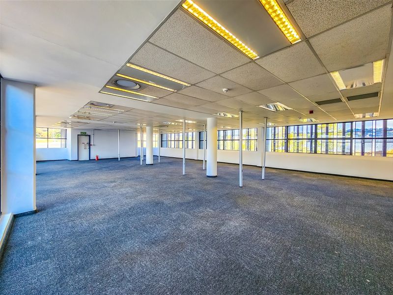 A spacious, open-plan office area featuring a suspended ceiling with recessed lighting, large windows for natural light, and carpeted flooring throughout.