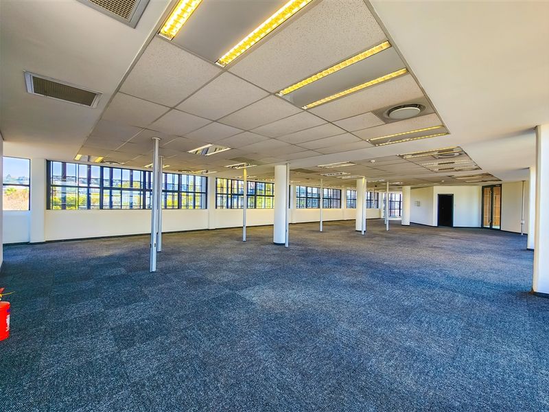 Spacious open-plan office area featuring carpeted flooring, suspended ceilings with recessed lighting, and large windows providing ample natural light.