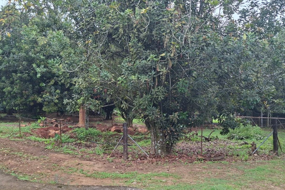 Prime Smallholding Opportunity in Whiteriver – 0.9302ha Full Title with Development Potential! - Photo 5