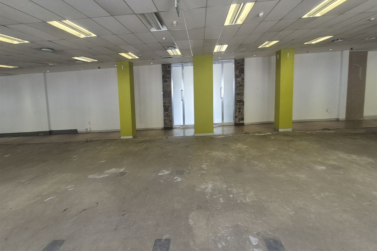 An expansive, empty office space featuring a suspended ceiling, recessed lighting, and structural columns, ready for custom fit-out and flooring installation.