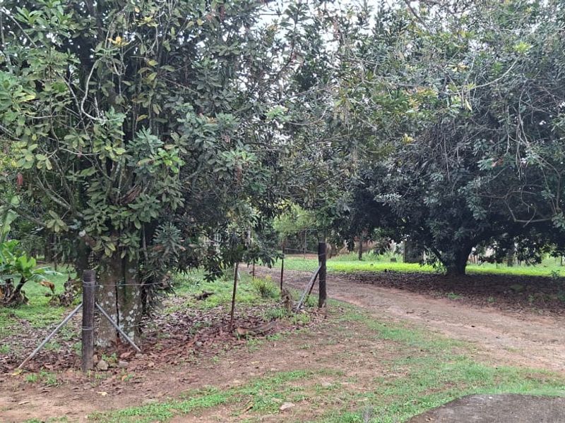 A view of the property grounds featuring mature trees, established vegetation, and a dirt access path enclosed by wire fencing.