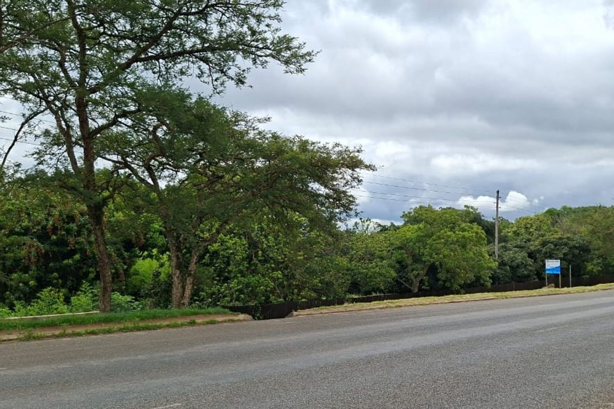 A view of the asphalt road frontage and surrounding mature trees bordering the property.