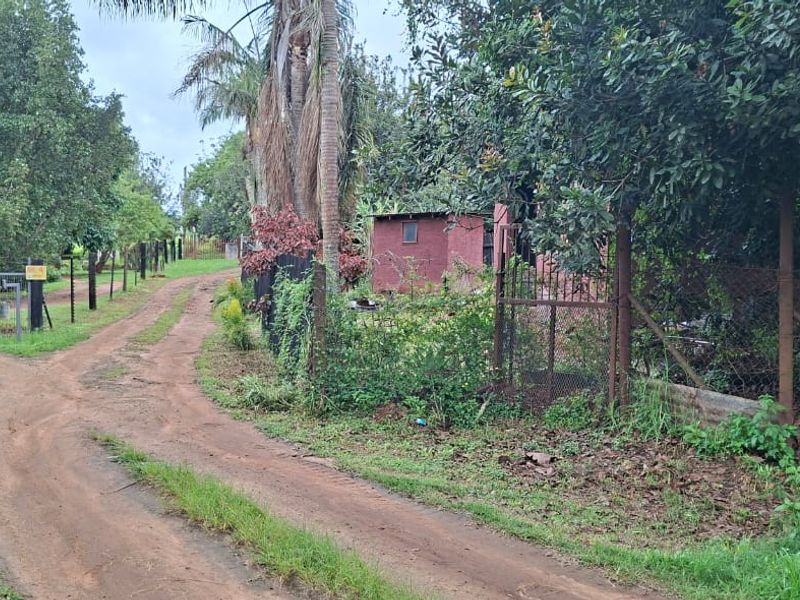 A view of the property entrance featuring a dirt driveway, metal security gate, and perimeter fencing on a small holding.