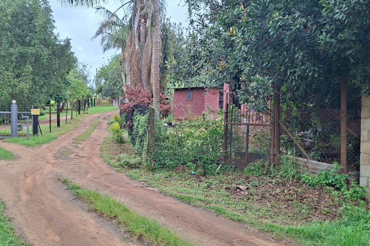 A view of the property entrance featuring a dirt driveway, metal security gate, and perimeter fencing on a small holding.