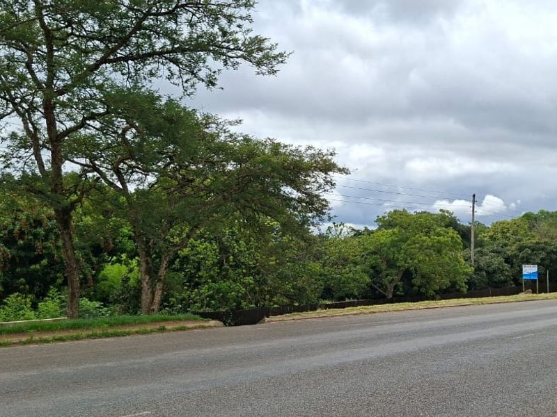 A view of the asphalt road frontage and surrounding mature trees bordering the property.