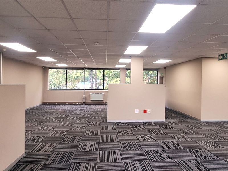 A spacious, open-plan office area featuring neutral wall finishes, carpet tile flooring, and recessed ceiling lighting, offering a clean and professional workspace environment.