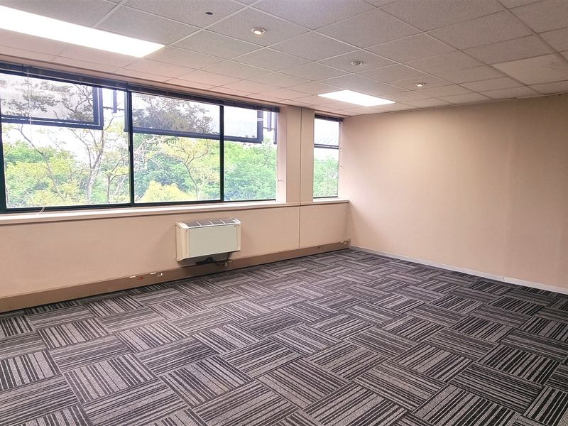 A bright, empty office space featuring carpet tiles, a suspended ceiling with recessed lighting, and large windows providing natural light and exterior views.