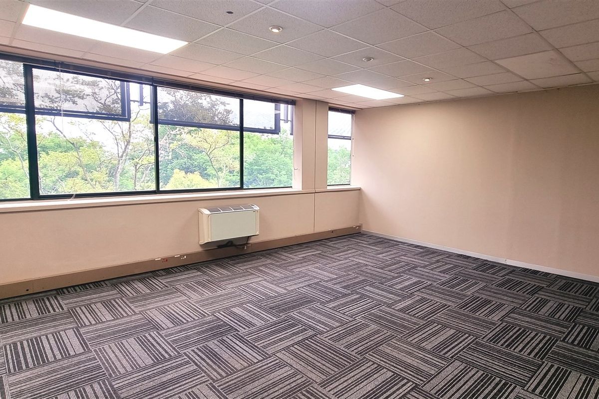 A bright, empty office space featuring carpet tiles, a suspended ceiling with recessed lighting, and large windows providing natural light and exterior views.