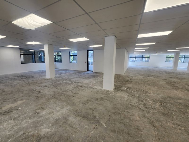 A large, open-plan office space featuring a suspended ceiling with recessed lighting, structural columns, and unfinished concrete flooring ready for final finishes.