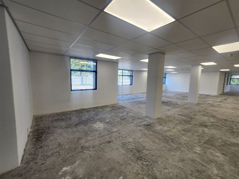 A spacious, open-plan office area featuring a suspended ceiling with recessed lighting, structural columns, and unfinished concrete flooring ready for final finishes.