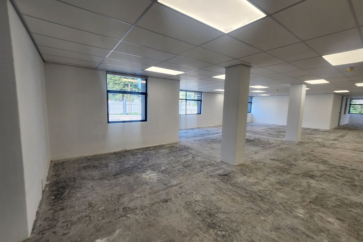 A spacious, open-plan office area featuring a suspended ceiling with recessed lighting, structural columns, and unfinished concrete flooring ready for final finishes.