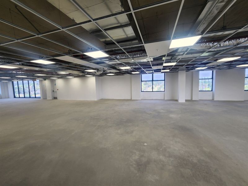 A large, open-plan office space featuring an unfinished suspended ceiling grid, recessed lighting, and expansive windows providing ample natural light.
