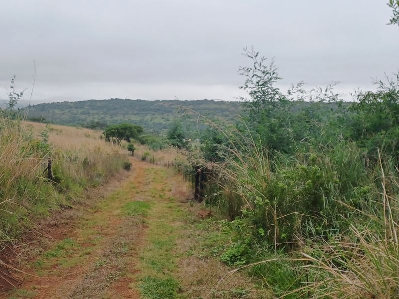 A scenic view of the farm landscape featuring a dirt access track and natural vegetation under an overcast sky.