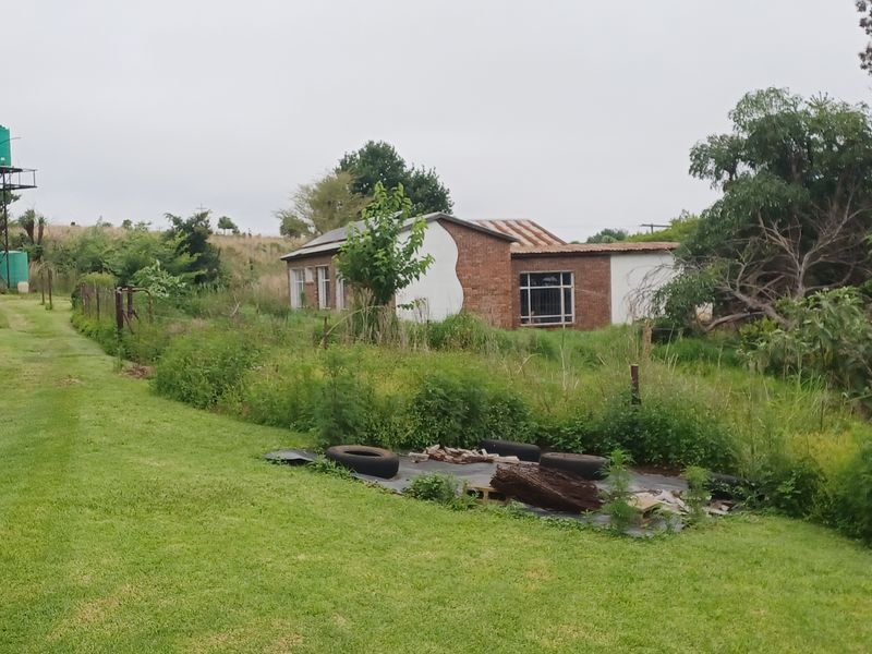 Rear view of a farm property featuring a brick building, corrugated metal roof, and elevated water storage tanks set within an overgrown garden area.