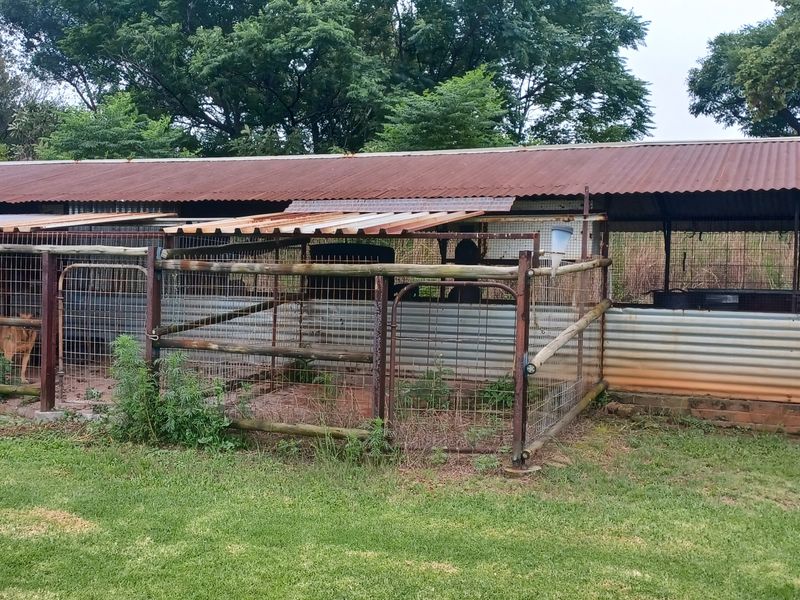 Outdoor farm utility structure featuring corrugated iron roofing, wire mesh enclosures, and metal framing, suitable for livestock or storage purposes.