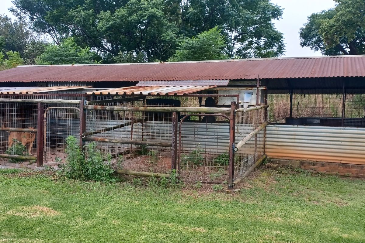 Outdoor farm utility structure featuring corrugated iron roofing, wire mesh enclosures, and metal framing, suitable for livestock or storage purposes.