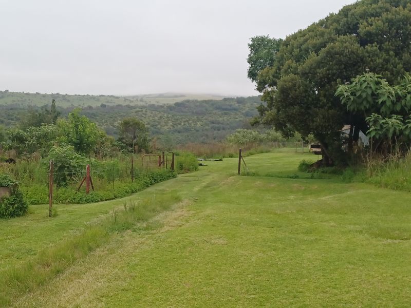 Expansive rural landscape view featuring open grassland, mature trees, and perimeter wire fencing, showcasing the natural beauty of the farm property.