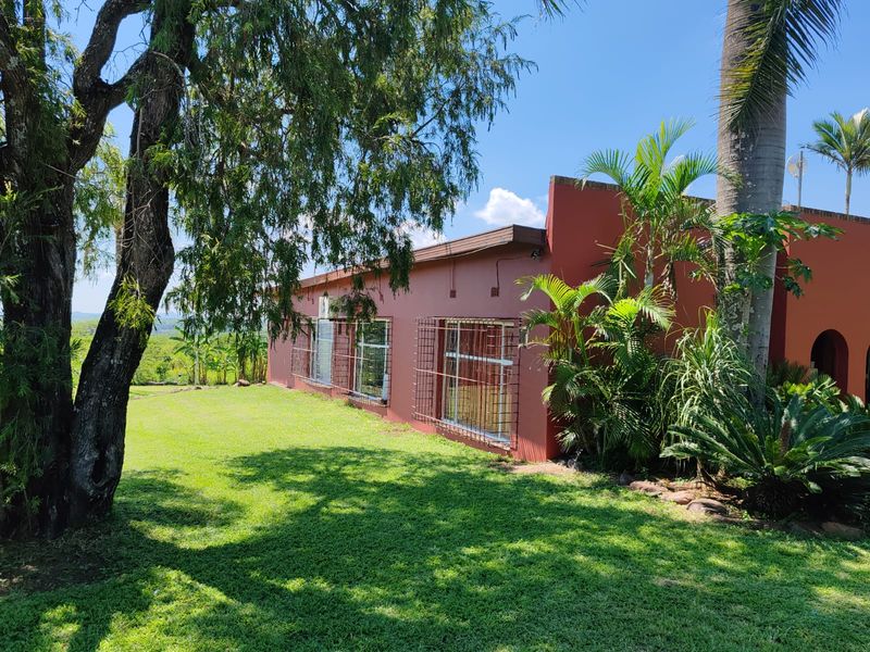 INVESTMENT OPPORTUNITY – FARM ON THE OUTSKIRTS OF LOUIS TRICHARDT - Photo 2