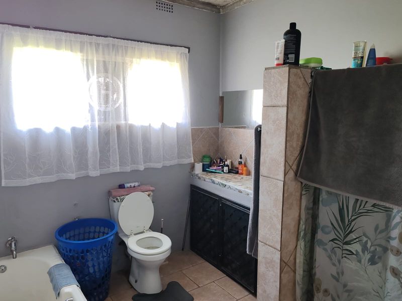 INVESTMENT OPPORTUNITY – FARM ON THE OUTSKIRTS OF LOUIS TRICHARDT - Photo 6