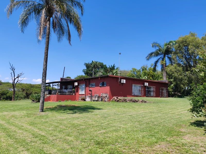 INVESTMENT OPPORTUNITY – FARM ON THE OUTSKIRTS OF LOUIS TRICHARDT - Photo 3