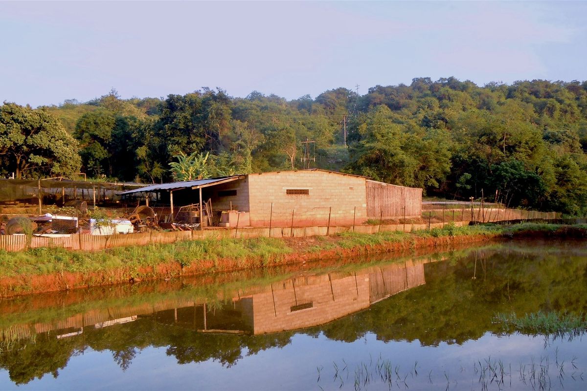 A rural farm structure featuring concrete block walls and a metal roof, situated alongside a pond with a scenic hillside backdrop.