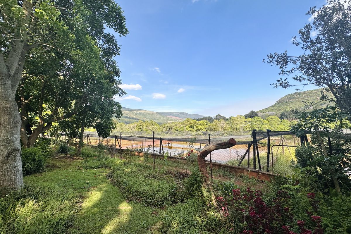 Unique Development Opportunity – Schoemanskloof - Photo 2