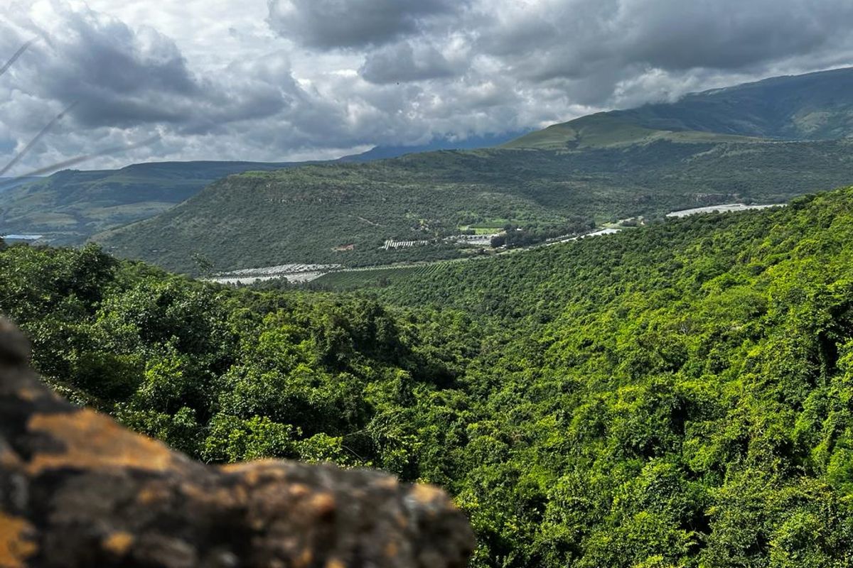 Unique Development Opportunity – Schoemanskloof - Photo 3