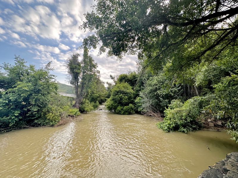A scenic view of a natural river flowing through lush, mature vegetation and trees on the farm property.