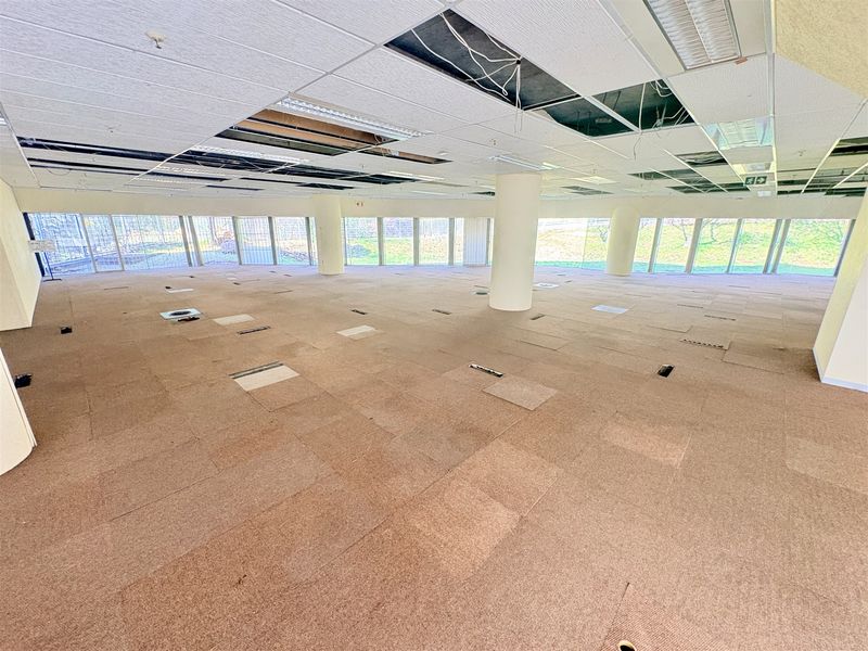 An expansive, open-plan office space featuring large windows, carpeted flooring, and a suspended ceiling with several missing tiles and exposed wiring.