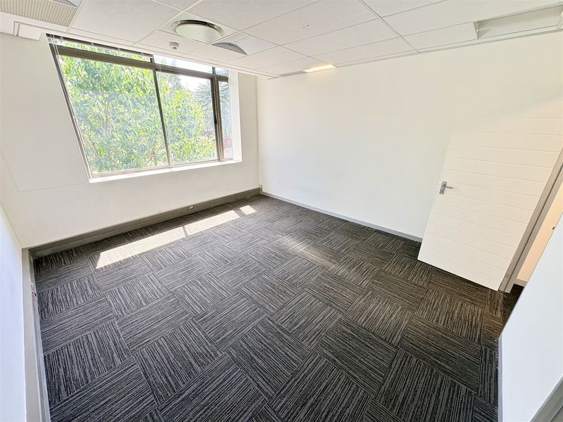 A bright, empty office space featuring modern carpet tiles, a suspended ceiling with recessed lighting, and a large window providing natural light.
