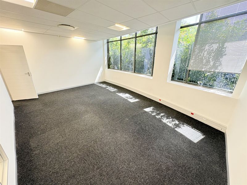 A bright, empty office space featuring large windows, carpeted flooring, and a suspended ceiling with recessed lighting.