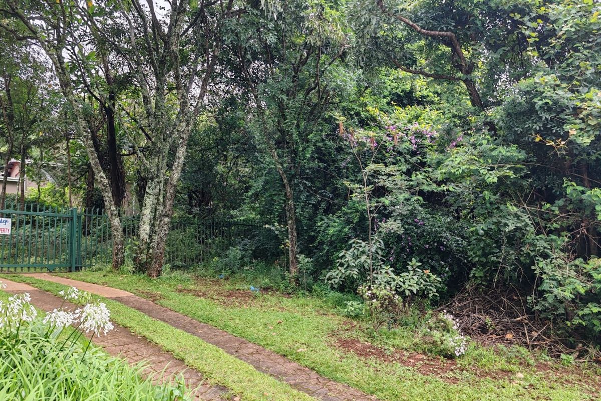 Exclusive N1 Mountain Estate – A Landmark Residence in the Soutpansberg - Photo 4