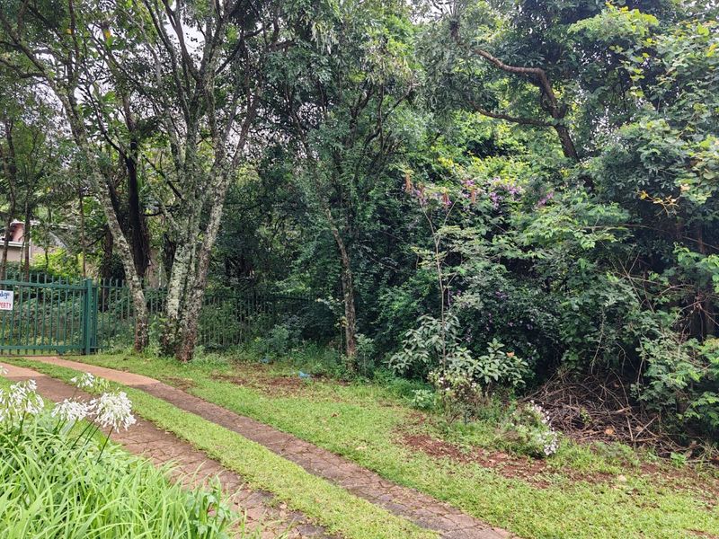 A view of the property entrance featuring a paved driveway, mature trees, and established garden landscaping with a metal security gate.
