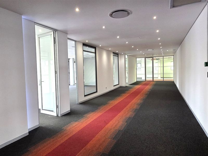 A bright, modern office hallway featuring glass partitions, recessed downlighting, and a distinctive patterned carpet runner.
