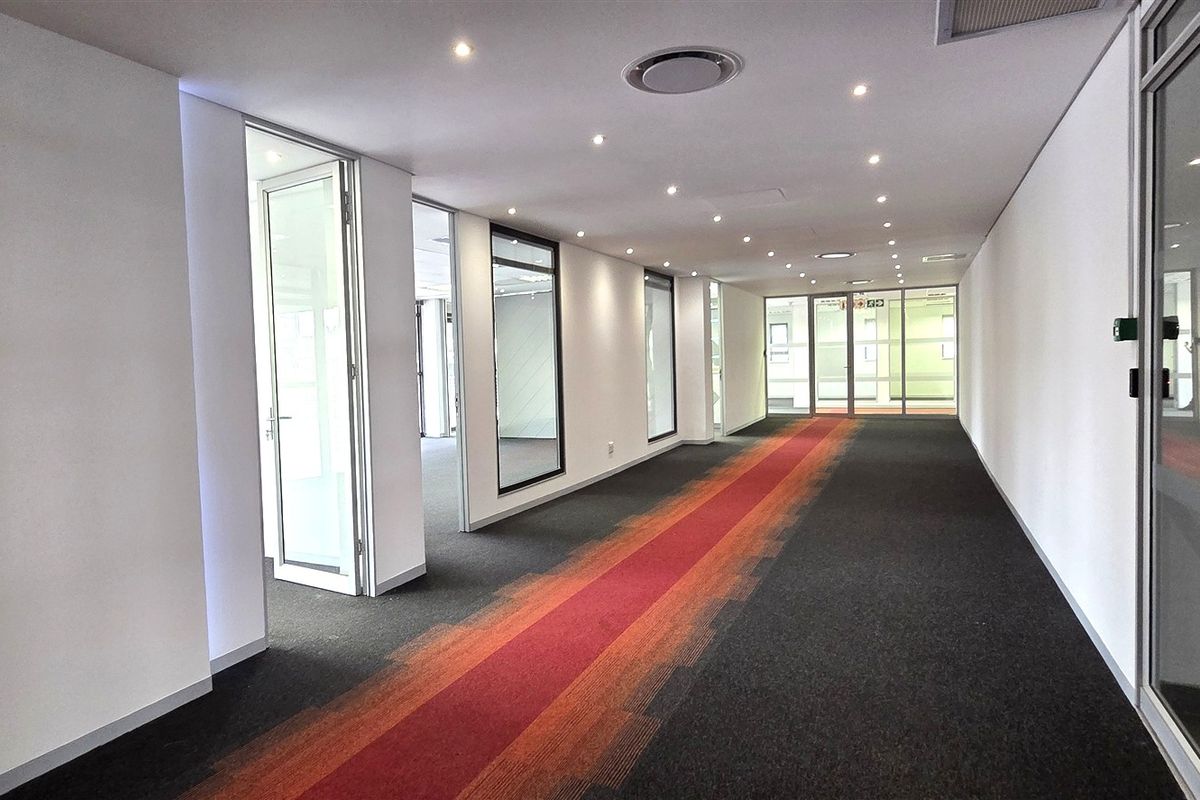 A bright, modern office hallway featuring glass partitions, recessed downlighting, and a distinctive patterned carpet runner.