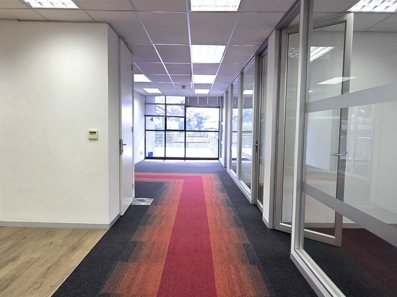 A bright, vacant office hallway featuring a mix of carpet and laminate flooring, glass partition walls, and a suspended ceiling with recessed lighting.