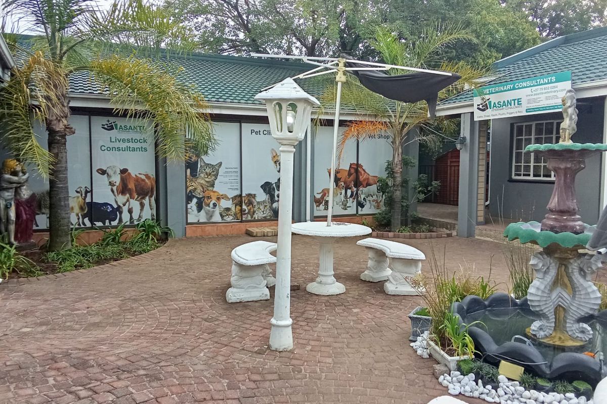 A paved courtyard area featuring a central fountain, outdoor seating, and building facades with veterinary clinic signage.