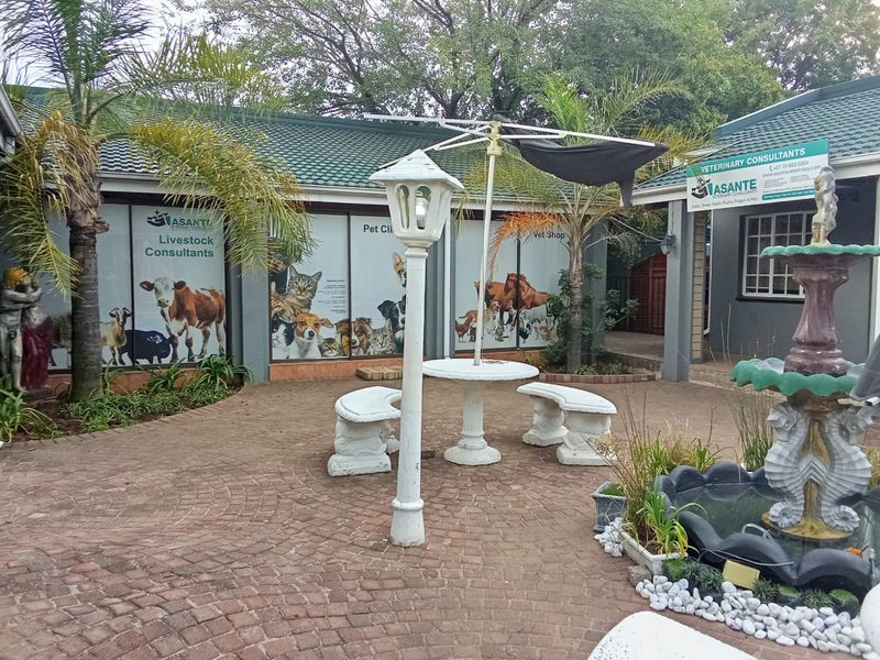 A paved courtyard area featuring a central fountain, outdoor seating, and building facades with veterinary clinic signage.