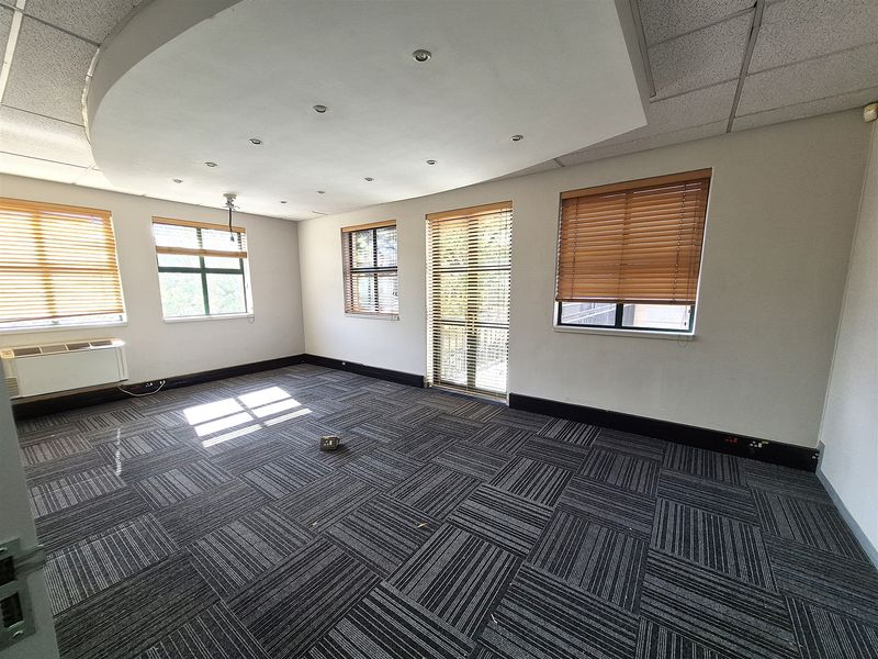 A bright, empty office space featuring carpet tiles, recessed ceiling lighting, and multiple windows with fitted venetian blinds.