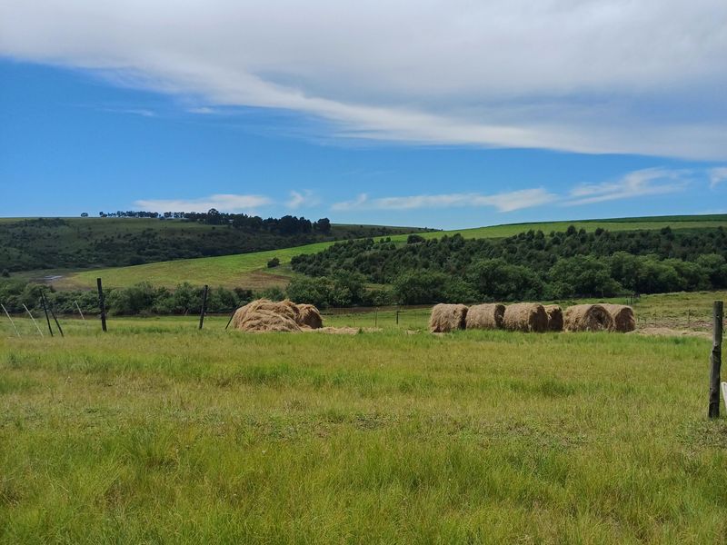 MOOI RIVER: SMALLHOLDING WITH RIVER FRONTAGE - 15km from Mooi River - Photo 3