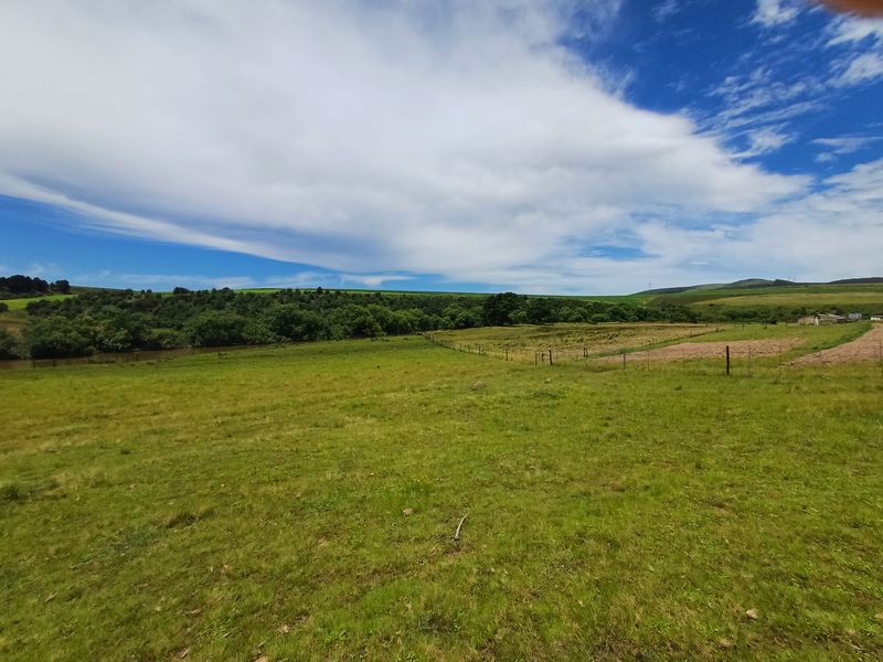 MOOI RIVER: SMALLHOLDING WITH RIVER FRONTAGE - 15km from Mooi River - Photo 2