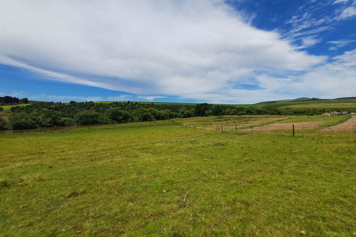 MOOI RIVER: SMALLHOLDING WITH RIVER FRONTAGE - 15km from Mooi River - Photo 2