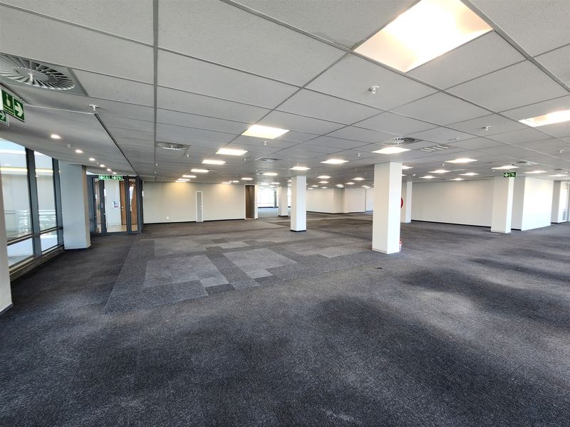 A spacious, open-plan office area featuring a suspended ceiling with recessed lighting, large windows, and carpeted flooring throughout.