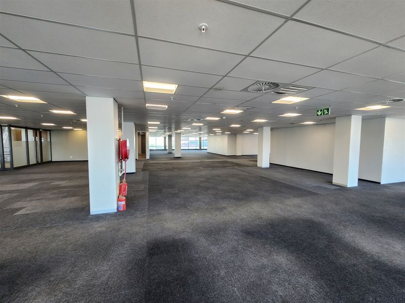 A spacious, open-plan office area featuring a suspended ceiling, recessed lighting, and carpeted flooring, equipped with essential fire safety infrastructure.