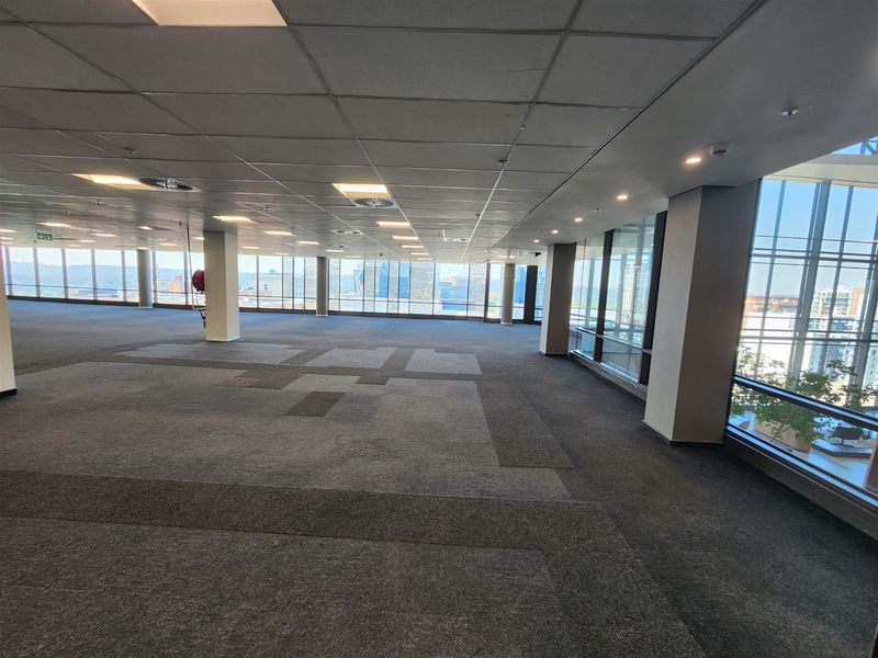 Spacious open-plan office area featuring extensive floor-to-ceiling windows, suspended ceilings with recessed lighting, and neutral carpeted flooring.