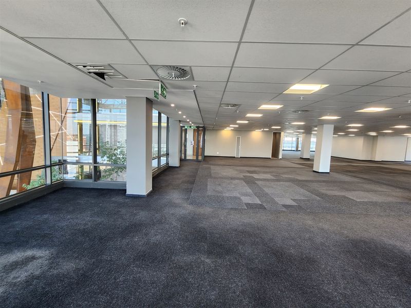 Spacious open-plan office area featuring large windows, suspended ceilings with recessed lighting, and carpeted flooring in a professional commercial building.